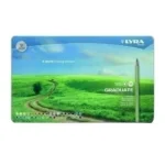 Lapices Lyra Graduate Lata 36 Colores L2871360
